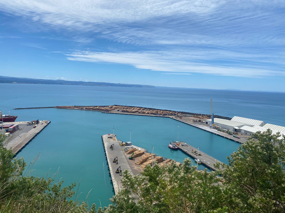 Bluff Hill Lookout-纳皮尔必去景点