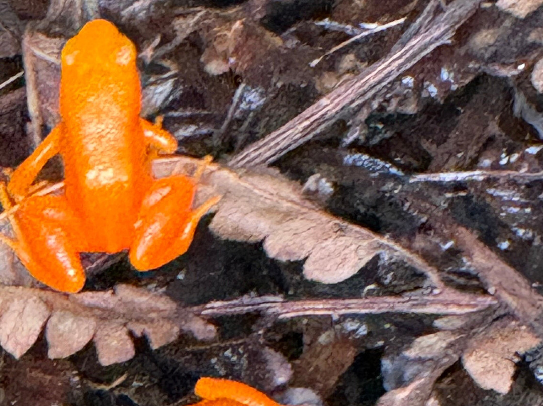 Madarako Tours-安塔那那利佛必去景点