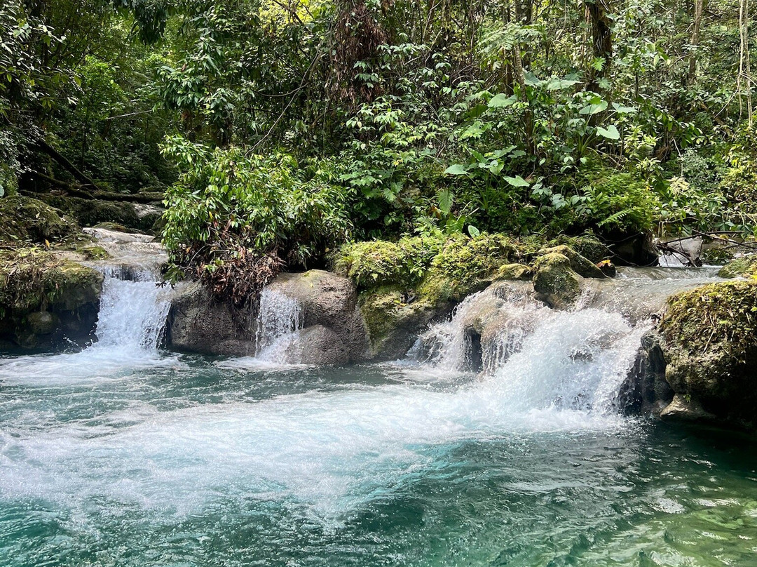 Reach Falls-安东尼奥港必去景点