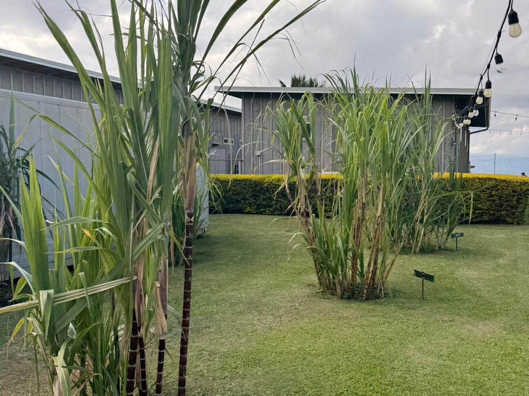 Ocean Vodka Organic Farm and Distillery-库拉必去景点