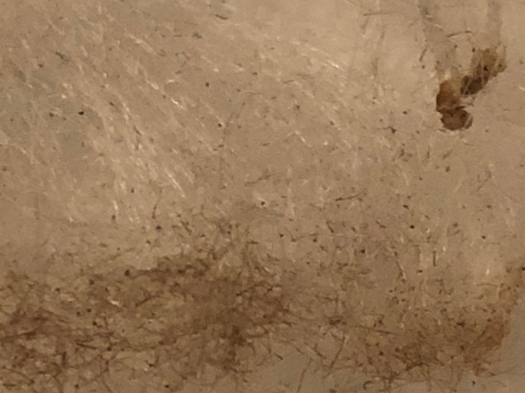 江南丝绸销售中心-上海市必去景点