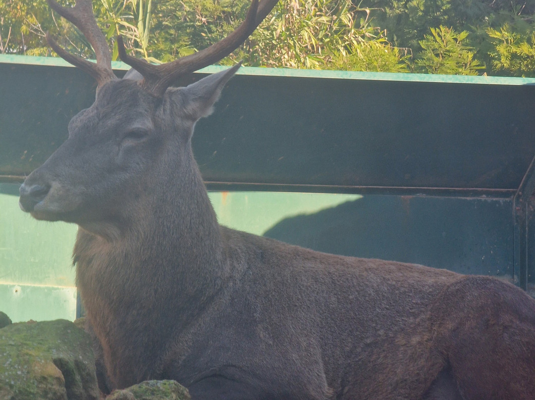 Jardin Zoologique de Rabat-拉巴特必去景点