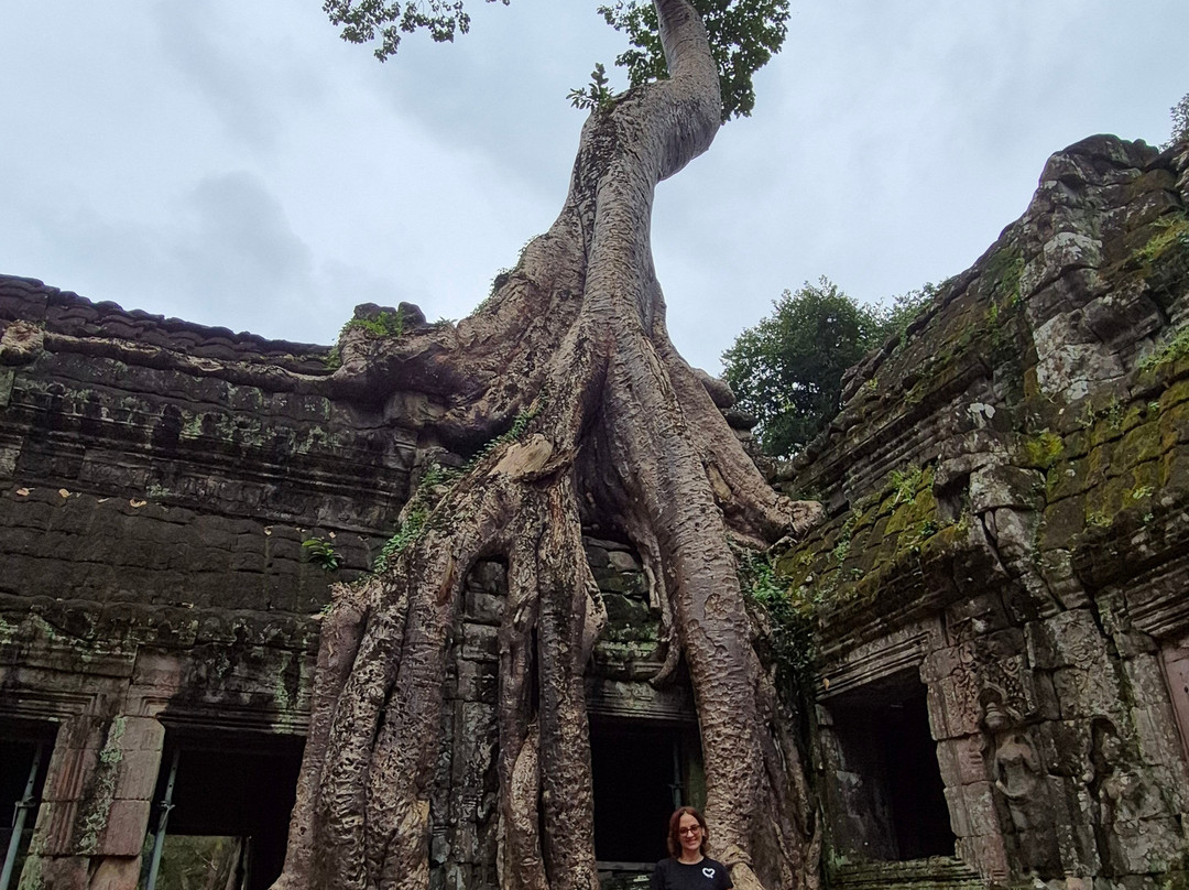 Angkor en Espanol-暹粒必去景点