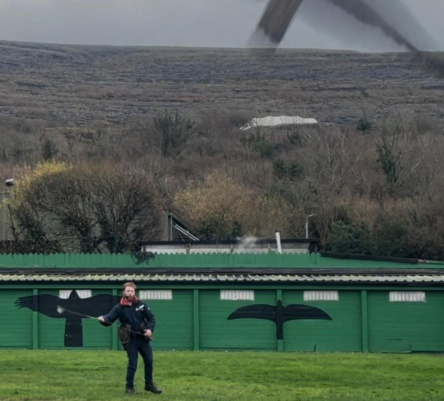 Burren Birds of Prey Centre-Ballyvaughan必去景点