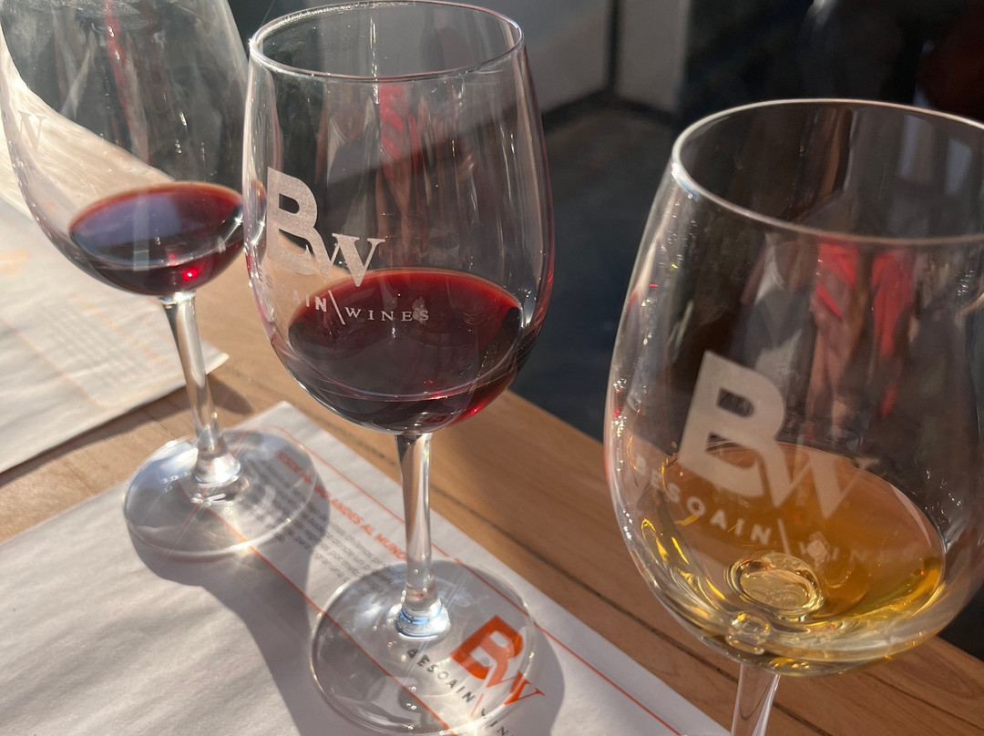 Besoain Wines-Pirque必去景点