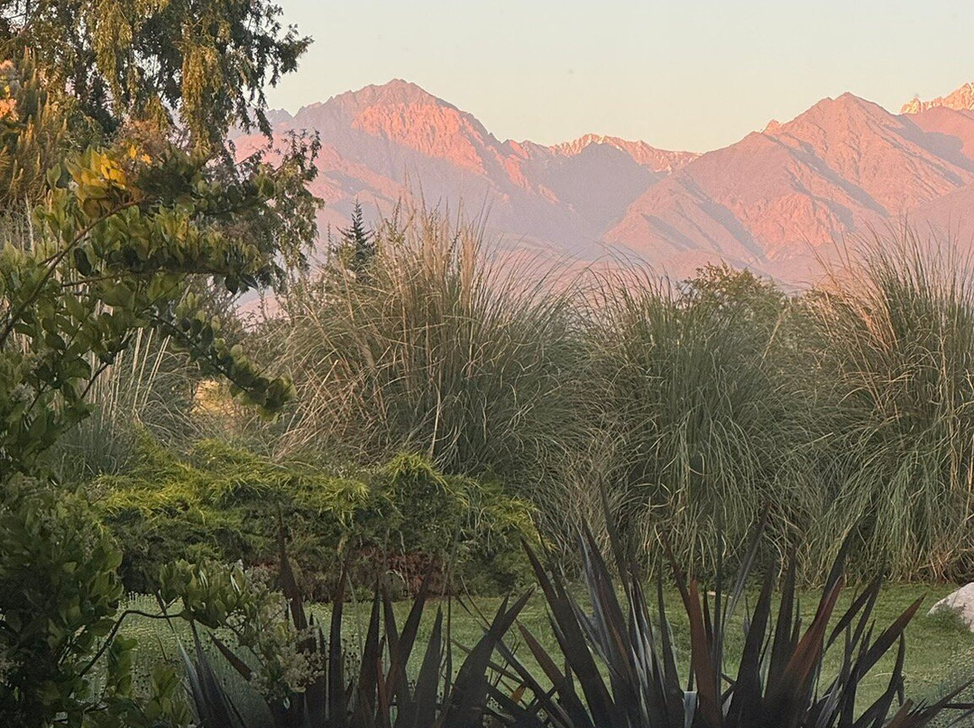 Gimenez Riili Bodega & Viñedos-Tunuyan必去景点