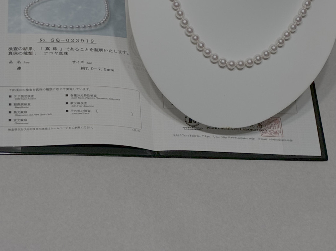 Canilli Pearl-Meguro必去景点