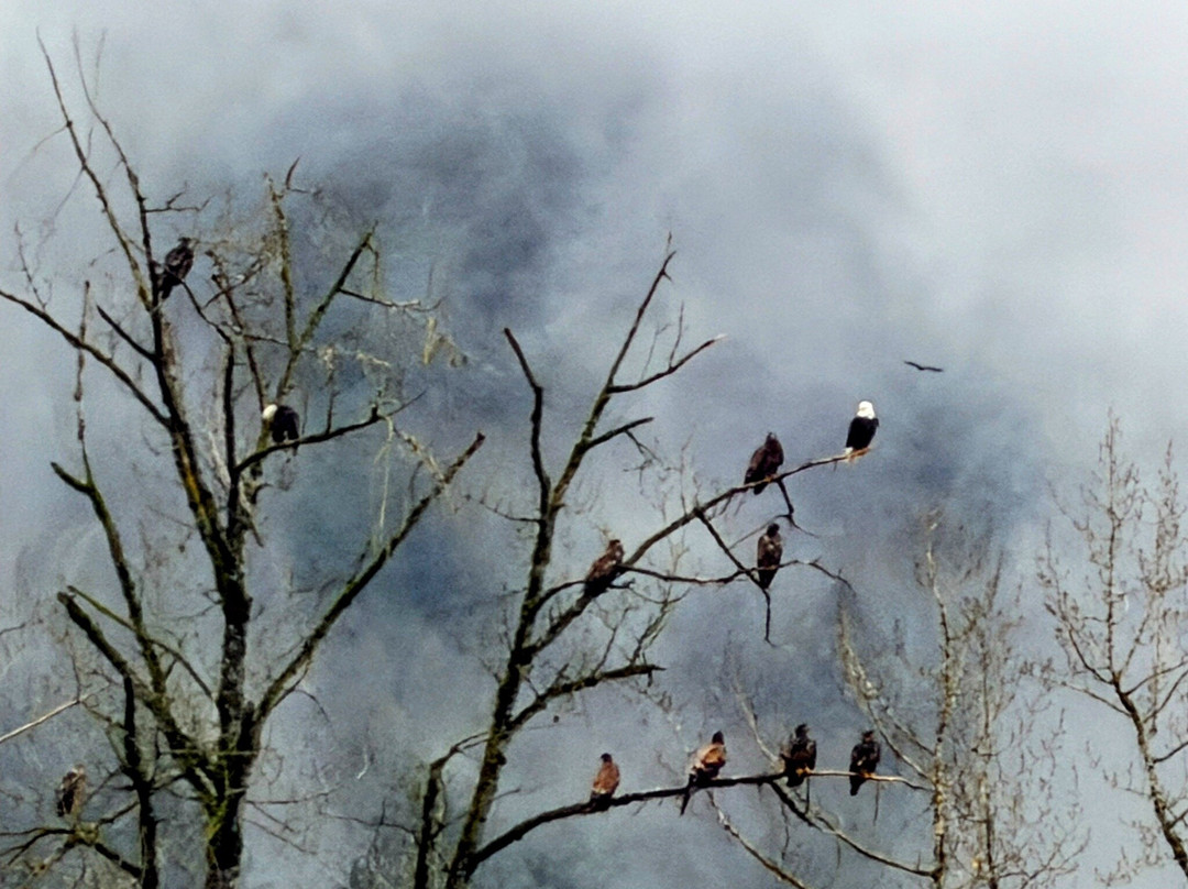 Harrison Eco Tours-哈里逊温泉必去景点