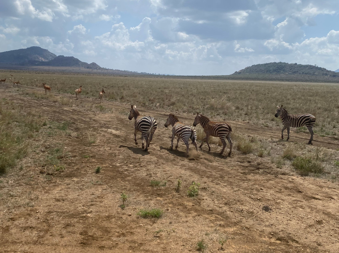 Mufasa Tours and Travels-内罗毕必去景点