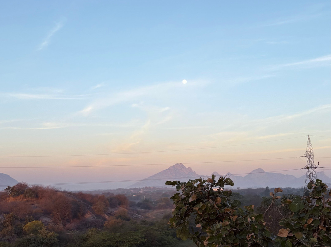 The Jawai Safari-Jawai Bandh必去景点