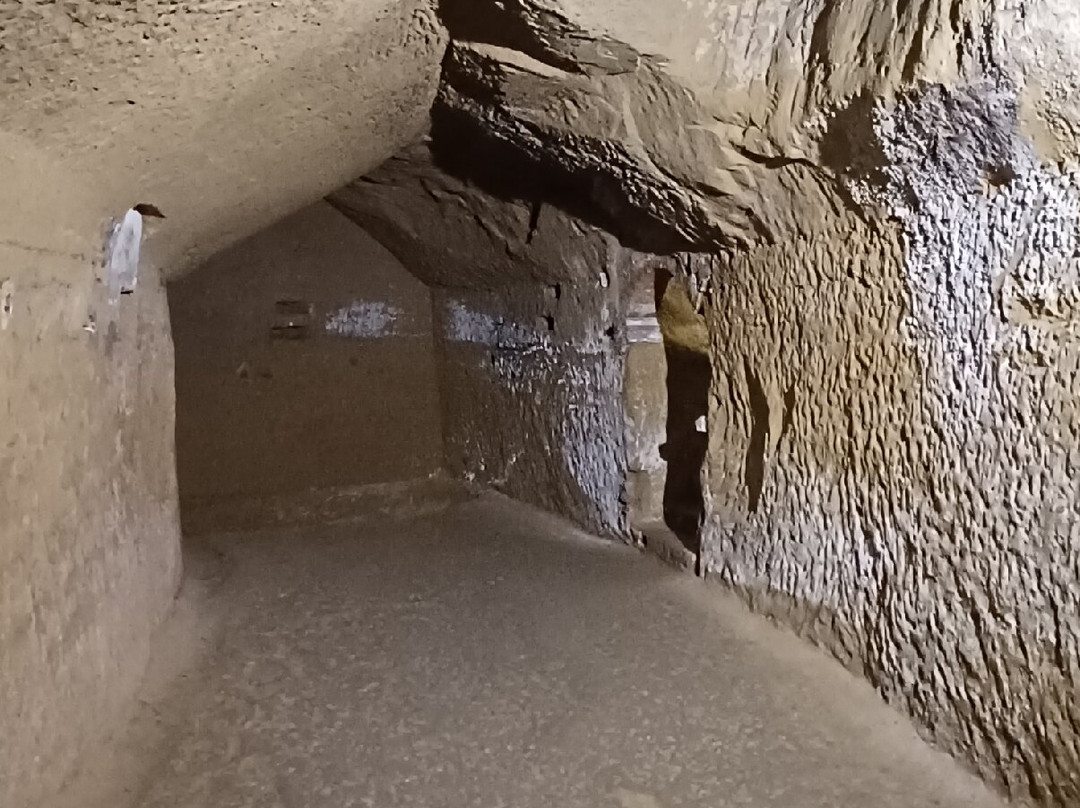 Museo Contrada Priora della Civetta-锡耶纳必去景点