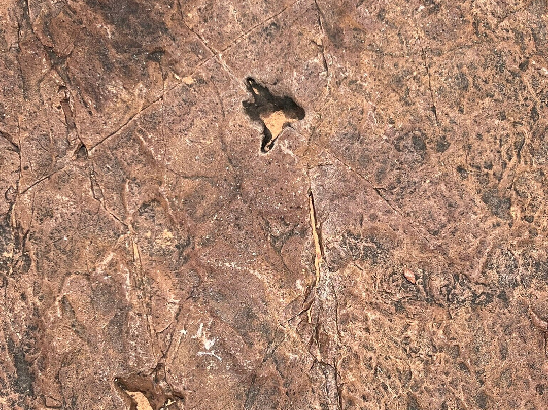 Dinosaur Tracks - National Monument NAMIBIA-Kalkfeld必去景点