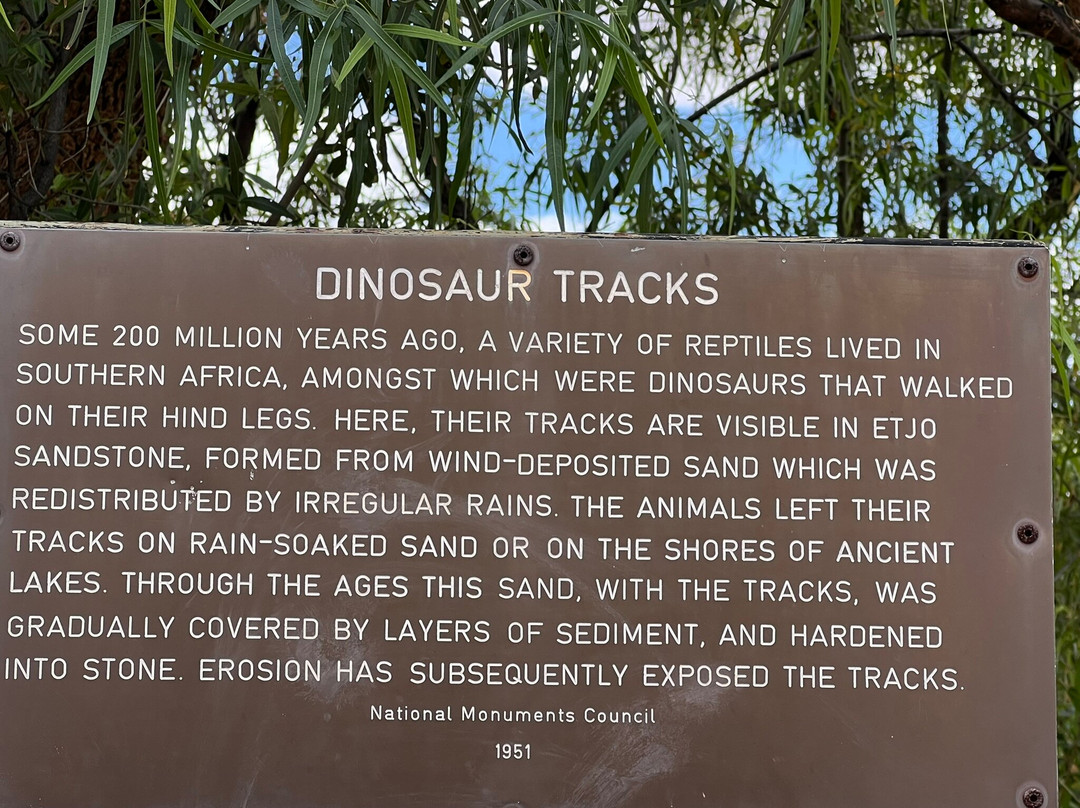 Dinosaur Tracks - National Monument NAMIBIA-Kalkfeld必去景点