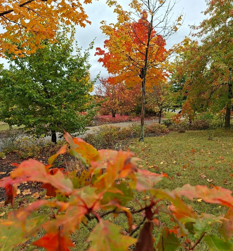 Lausitzer Findlingspark Nochten-Boxberg必去景点