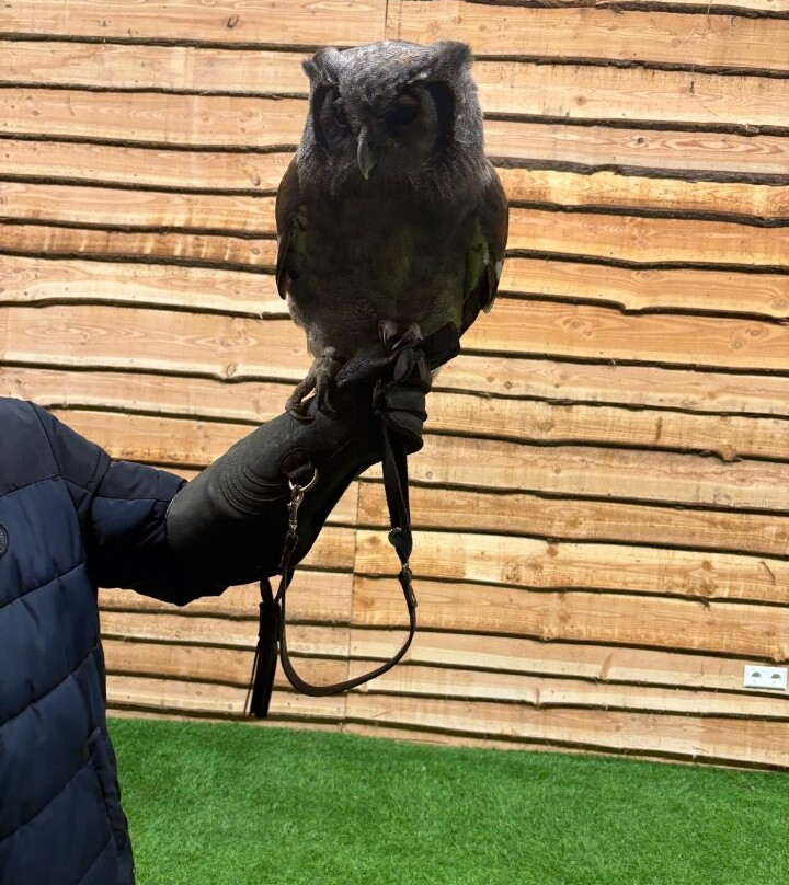 Birds@Work-Berkel en Rodenrijs必去景点