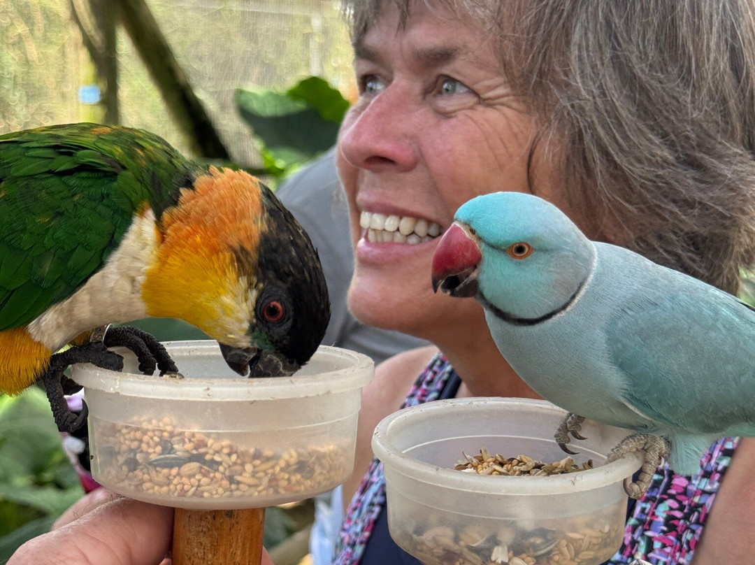 Parotte Ville Bird Sanctuary-圣马丁岛必去景点