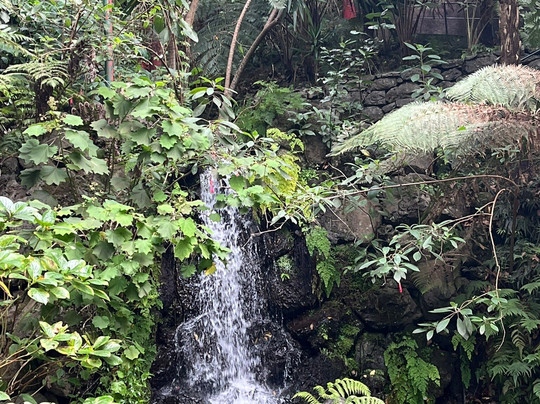 Botanical Garden Cable Car-沙尔必去景点