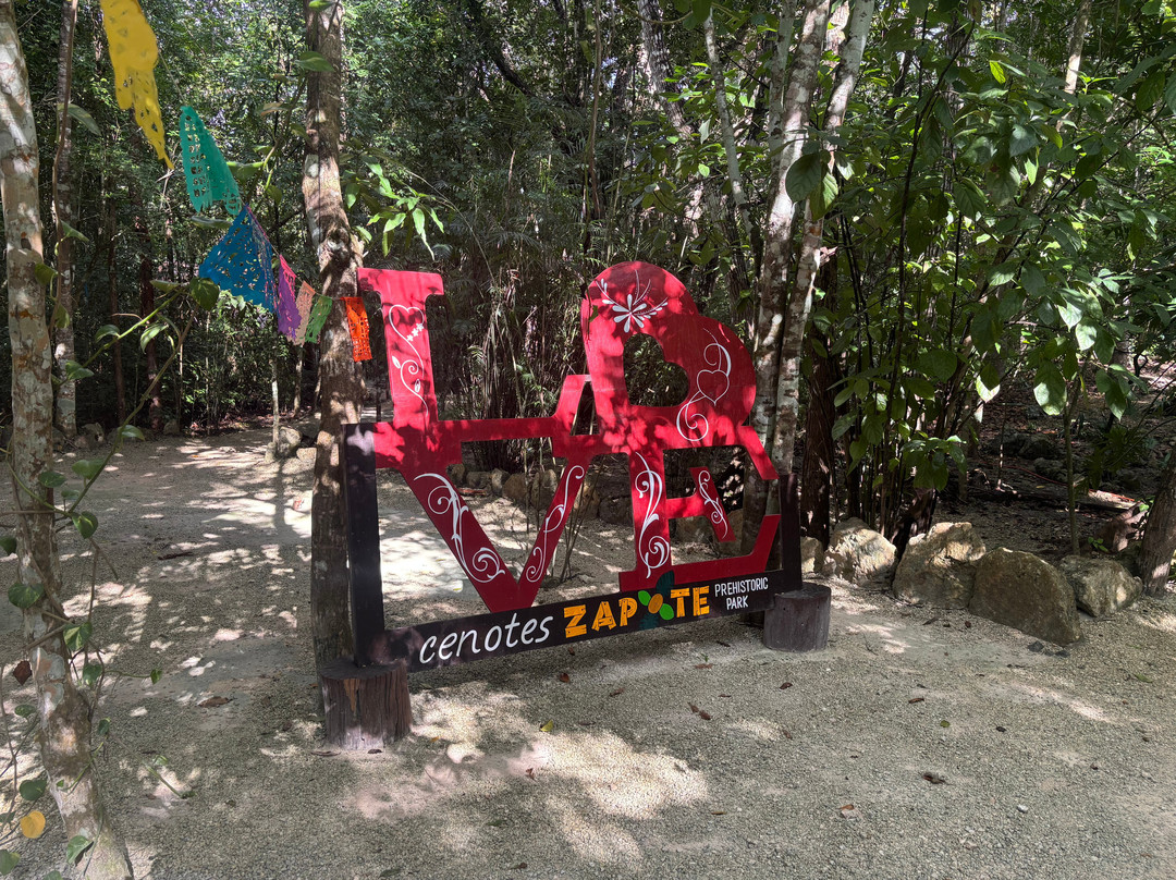 Squalo Divers-坎昆必去景点