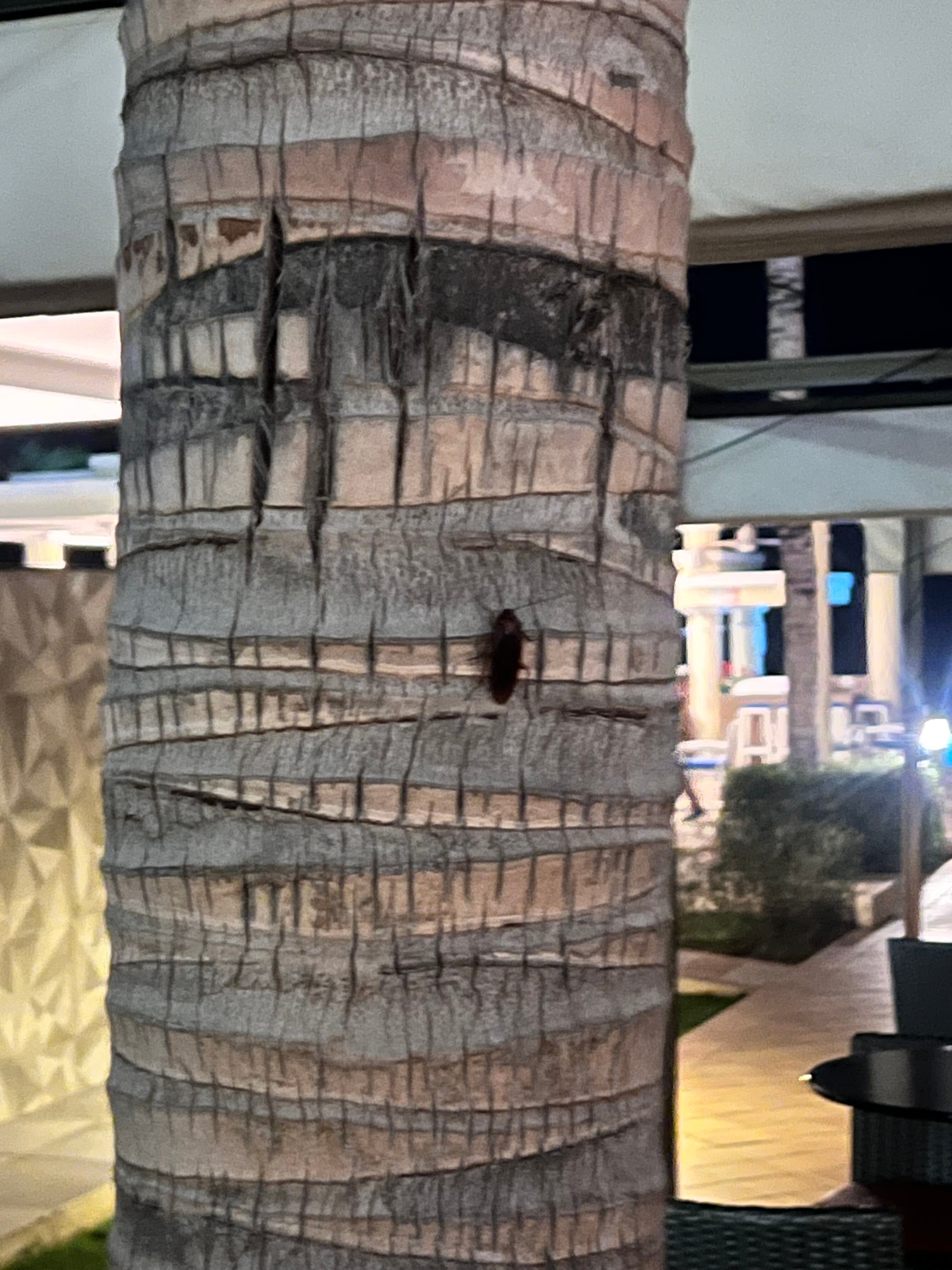 卡波圣卢卡斯悦宜湾奢享酒店-浴室