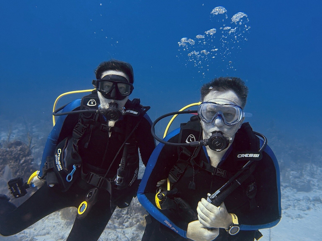 DNS Diving-七哩滩必去景点