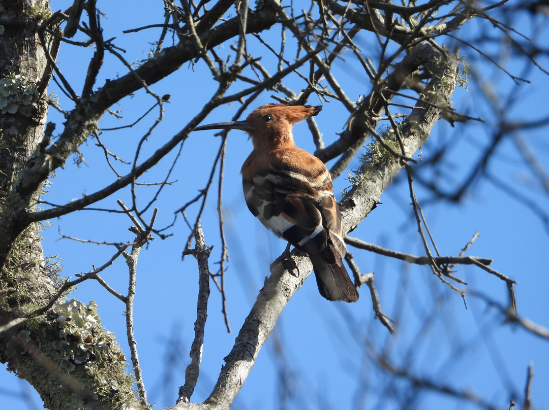 Reflections Eco Reserve主图