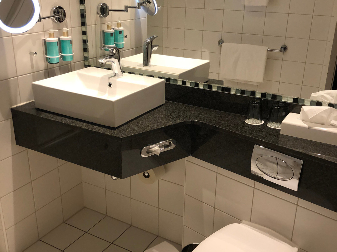 埃朗根诺富特酒店主图