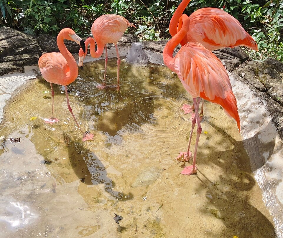 Amega Tour and general trading company limited-河内必去景点