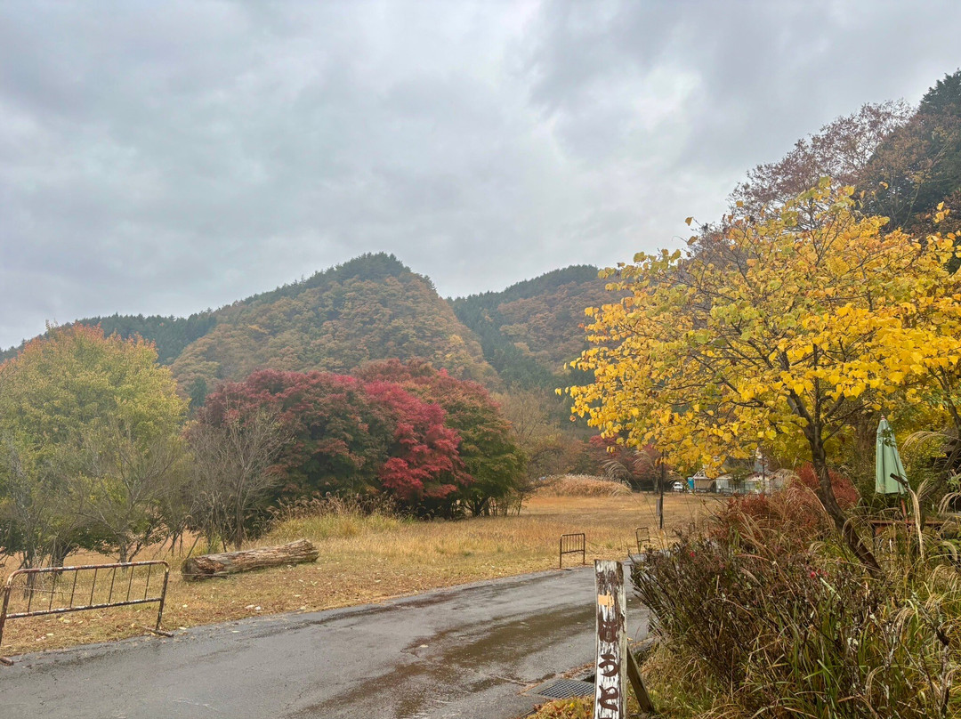 西湖疗愈之里根场-富士河口湖町必去景点