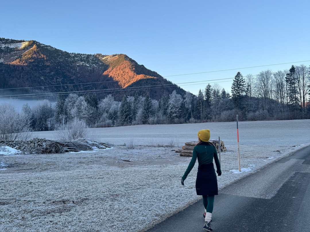 Hotel Fischerwirt Natur Waldspa主图