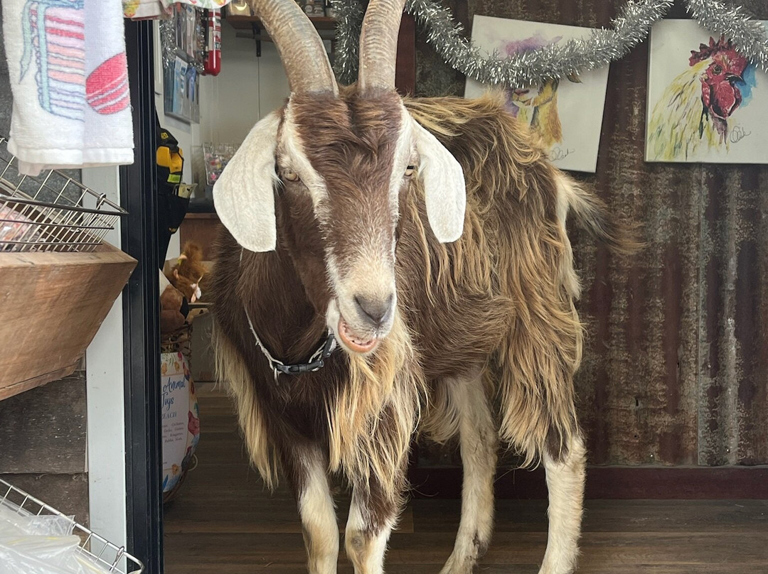 Splitters Farm-邦德堡必去景点