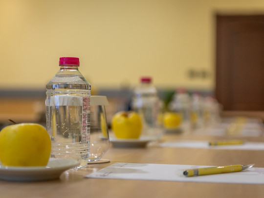 腓尼基大酒店主图