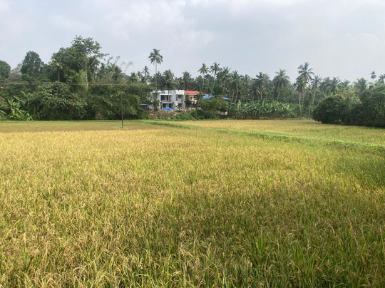 Kilimanoor Palace-提卢湾安塔普兰（特里凡德伦）必去景点