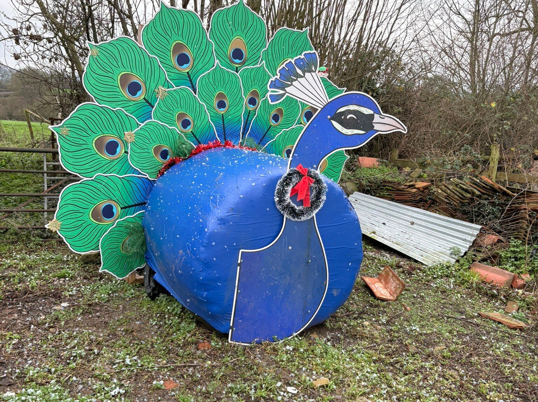 Palette And Pasture-Trudoxhill必去景点