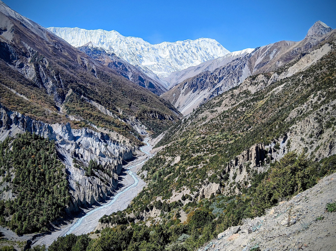 Mountain Monarch Adventures - Private Day Tours-加德满都必去景点