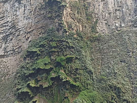 Jar8's Tours-Nanchital de Lazaro Cardenas del Rio必去景点