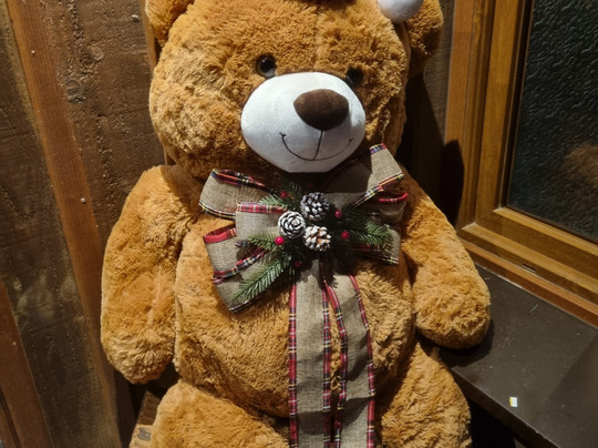 雷福奇酒店主图