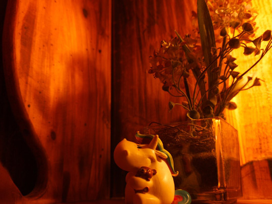 雷福奇酒店主图