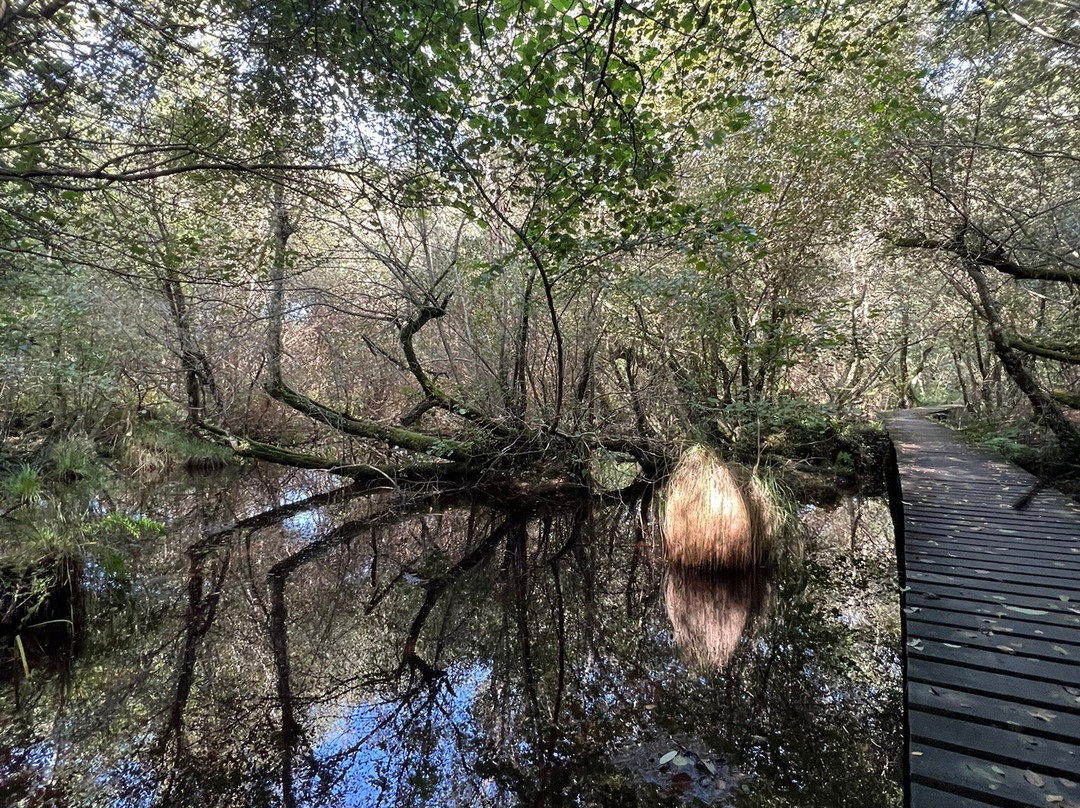 Réserve Naturelle de l'Étang Noir-Seignosse必去景点