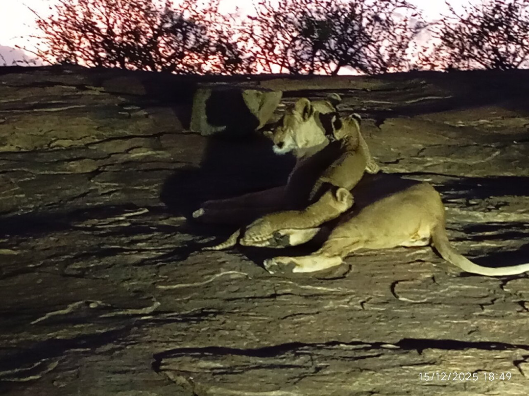 Tsavo East National Park-查佛必去景点