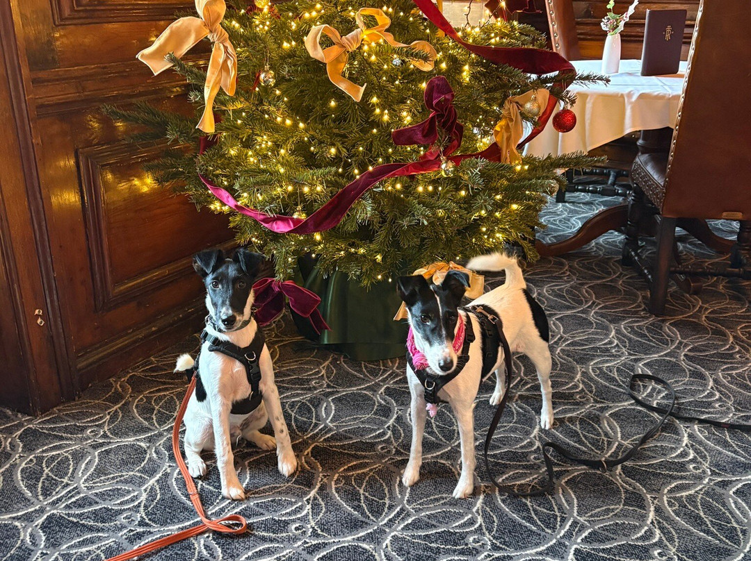 The Royal Hotel主图