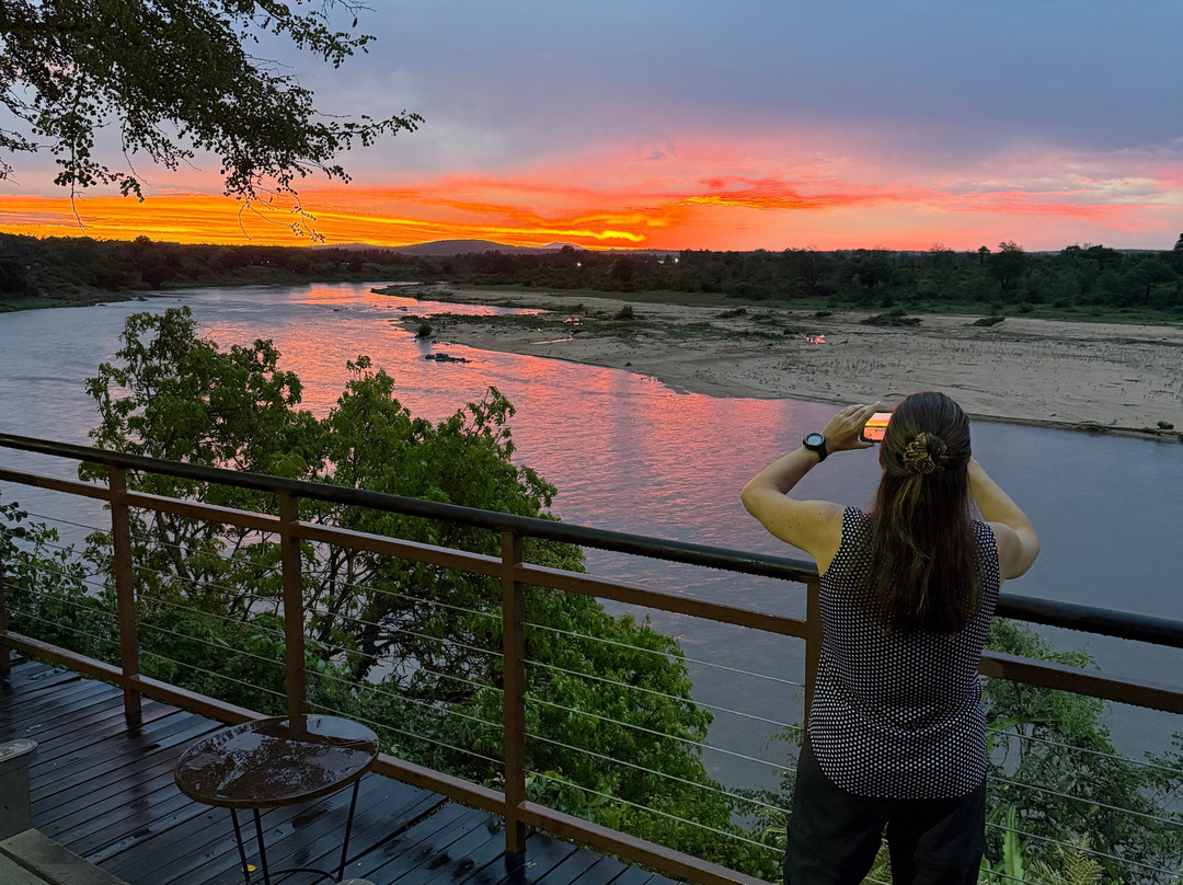 SAFARI, DRIVE & DIVE TOURS-Inhambane必去景点