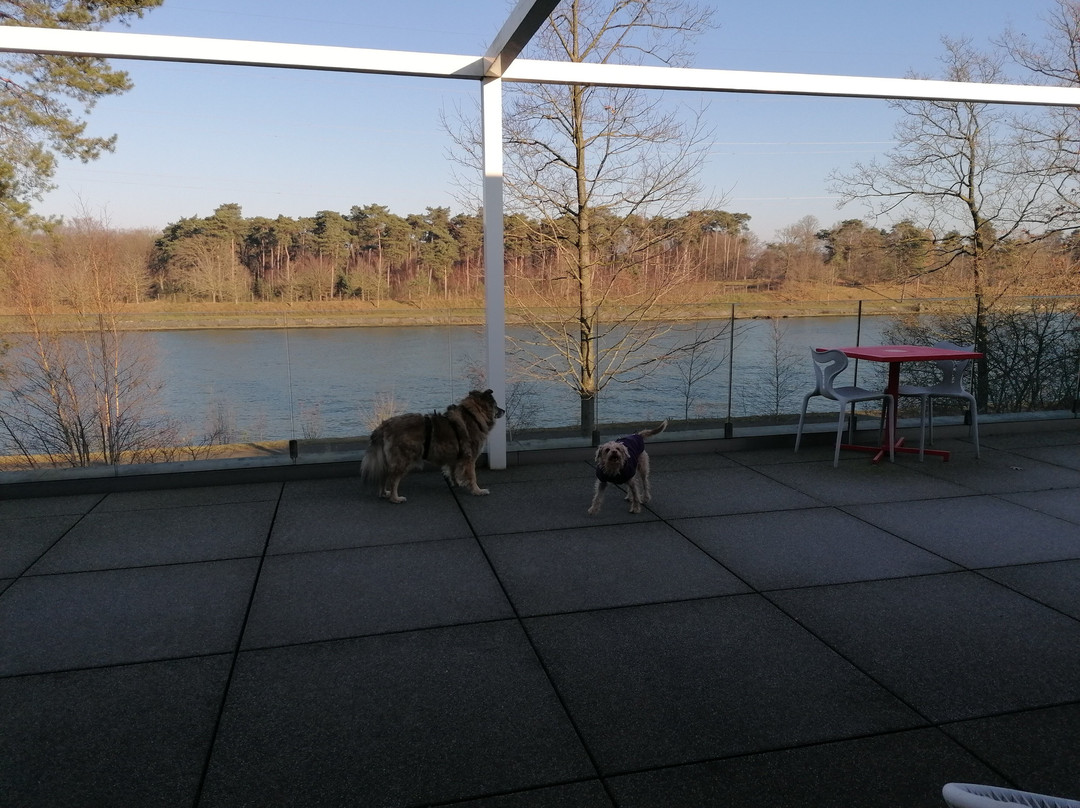 Grobbendonk酒店住宿-Loft Aan Het Water