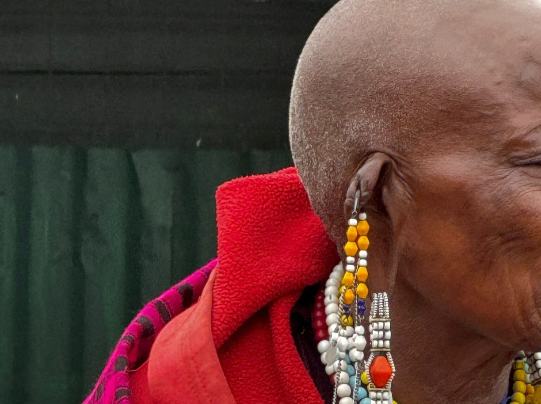 Ngatunga Tours-乞力马扎罗山国家公园必去景点