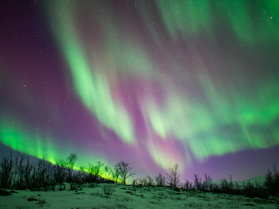 拉普兰极光之旅-阿比斯库必去景点