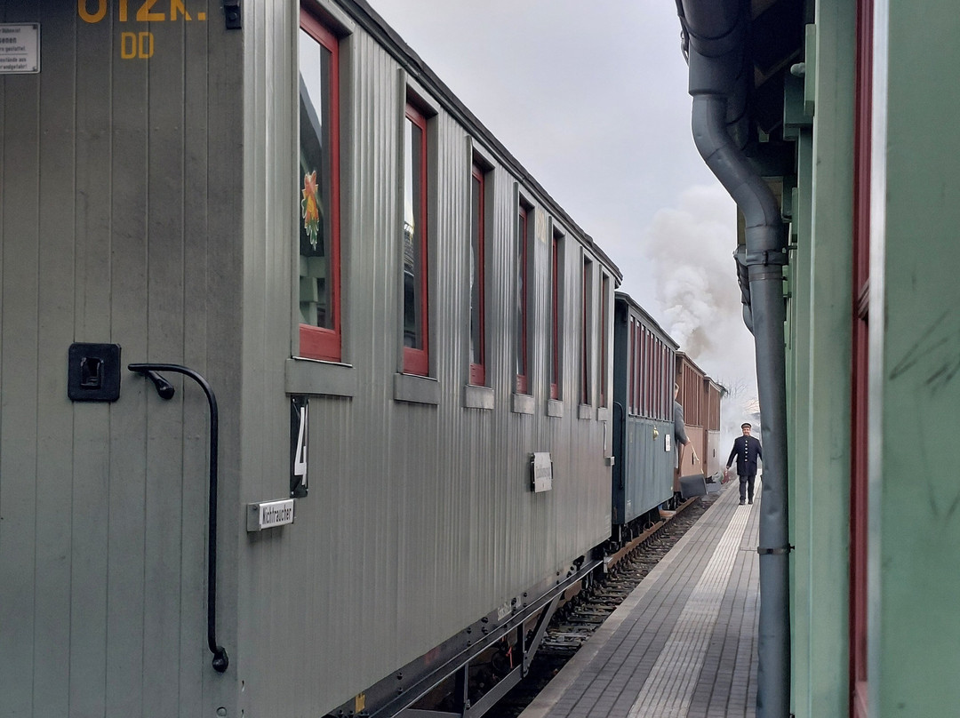 Löeßnitzgrundbahn-莫里茨堡必去景点