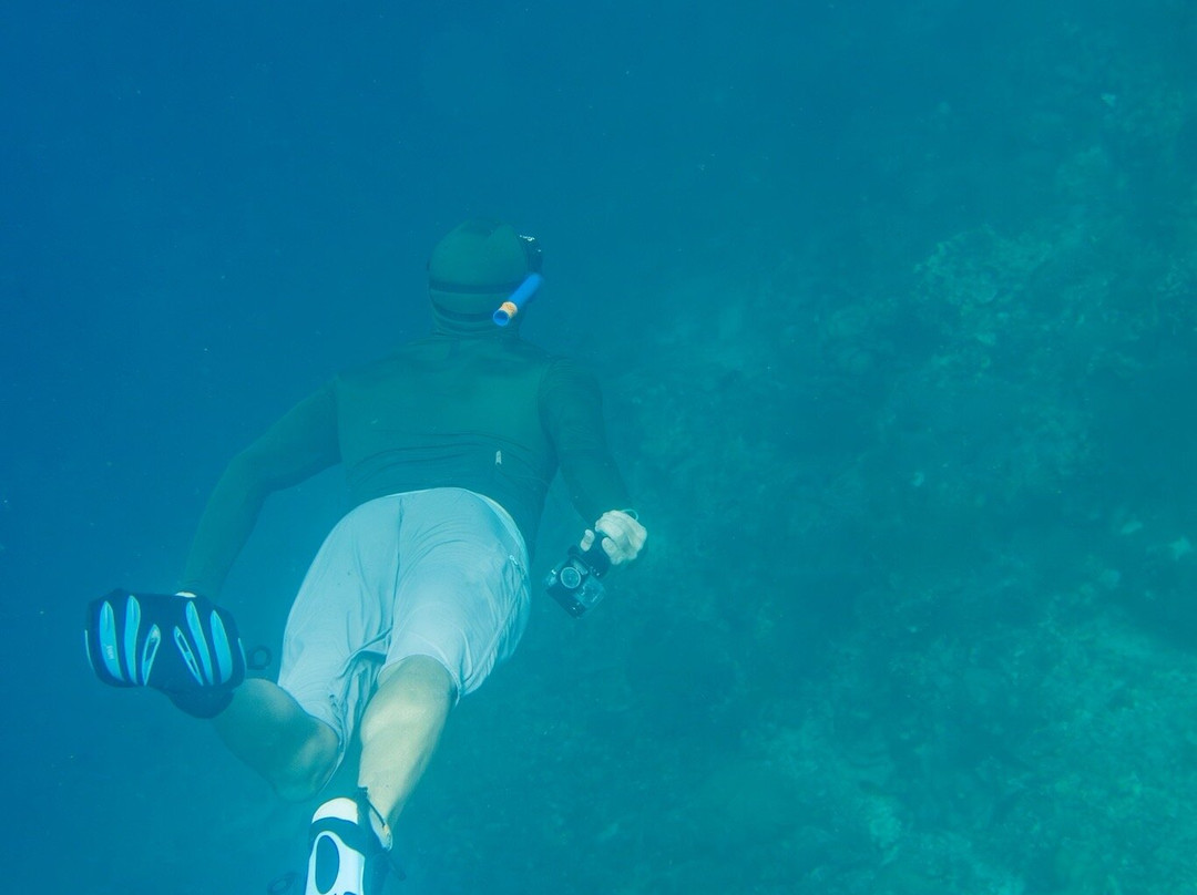 摩尔波尔T微风海滨度假村主图