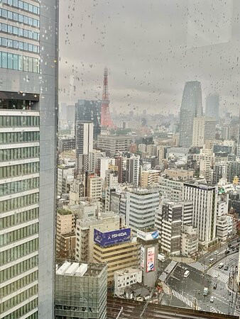 THE 皇家花园酒店 ICONIC 东京汐留主图