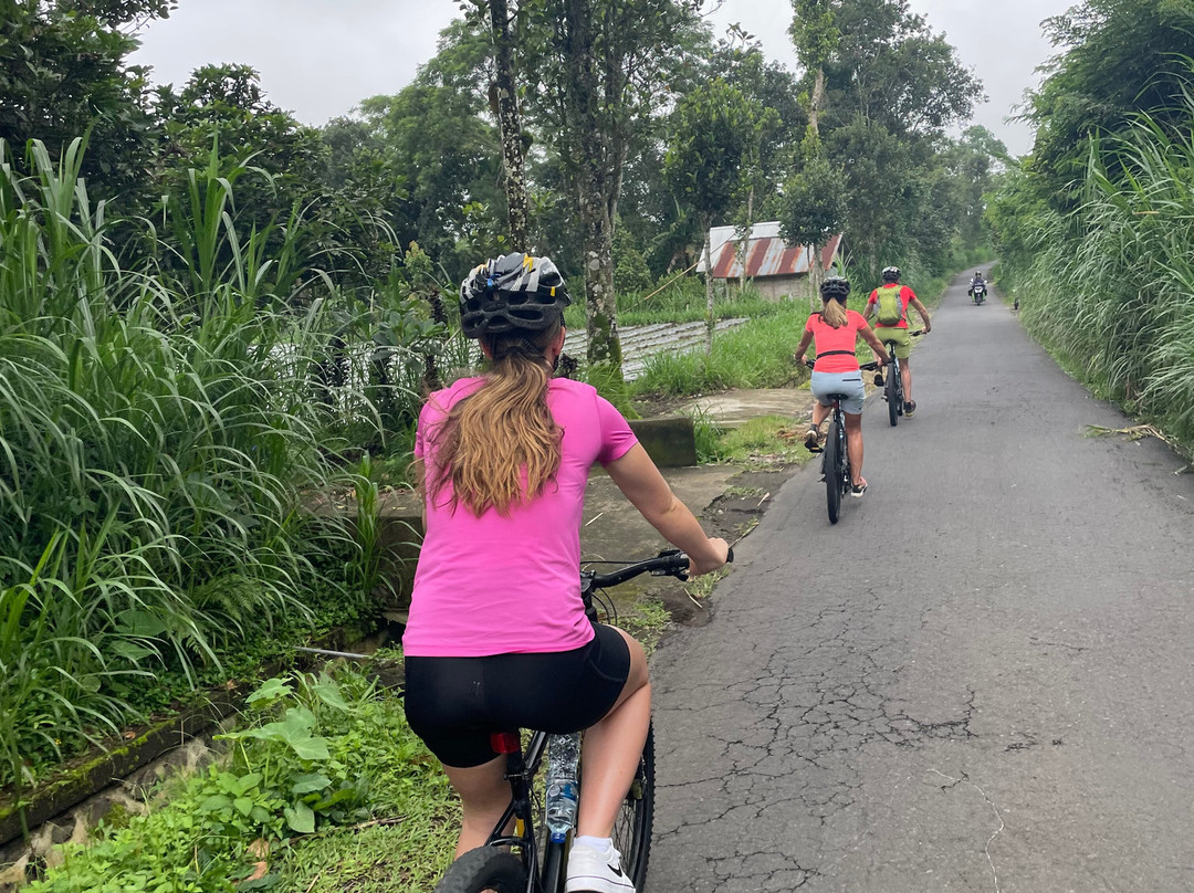 BaliGoBike - Bali Cycling Tours-乌布必去景点
