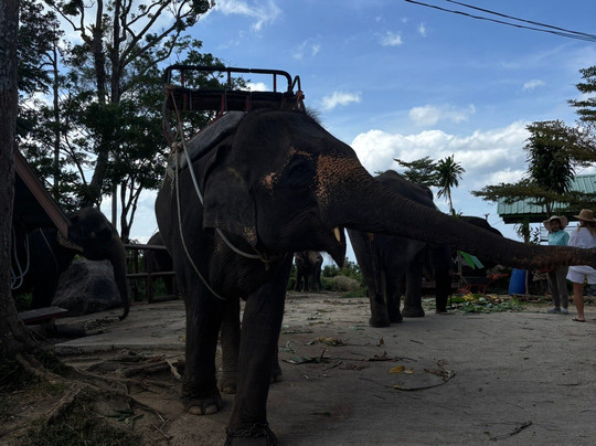 Pang Chang Kamala-卡马拉必去景点