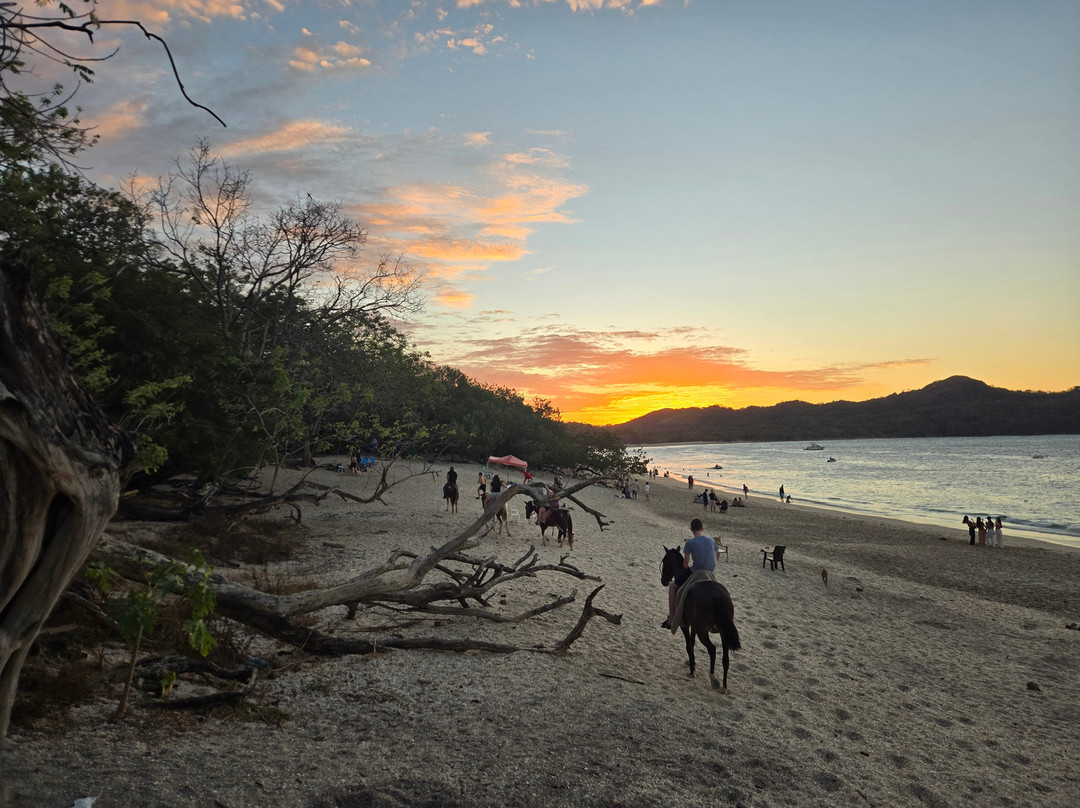 Erik Garcia Conchal Beach-孔查沙滩必去景点